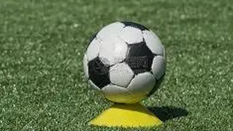 678体育 资讯 085308 1jd