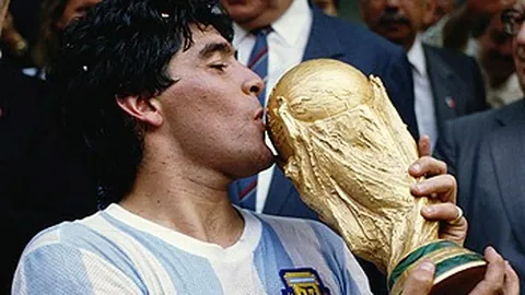 678体育 产品 013737 d68